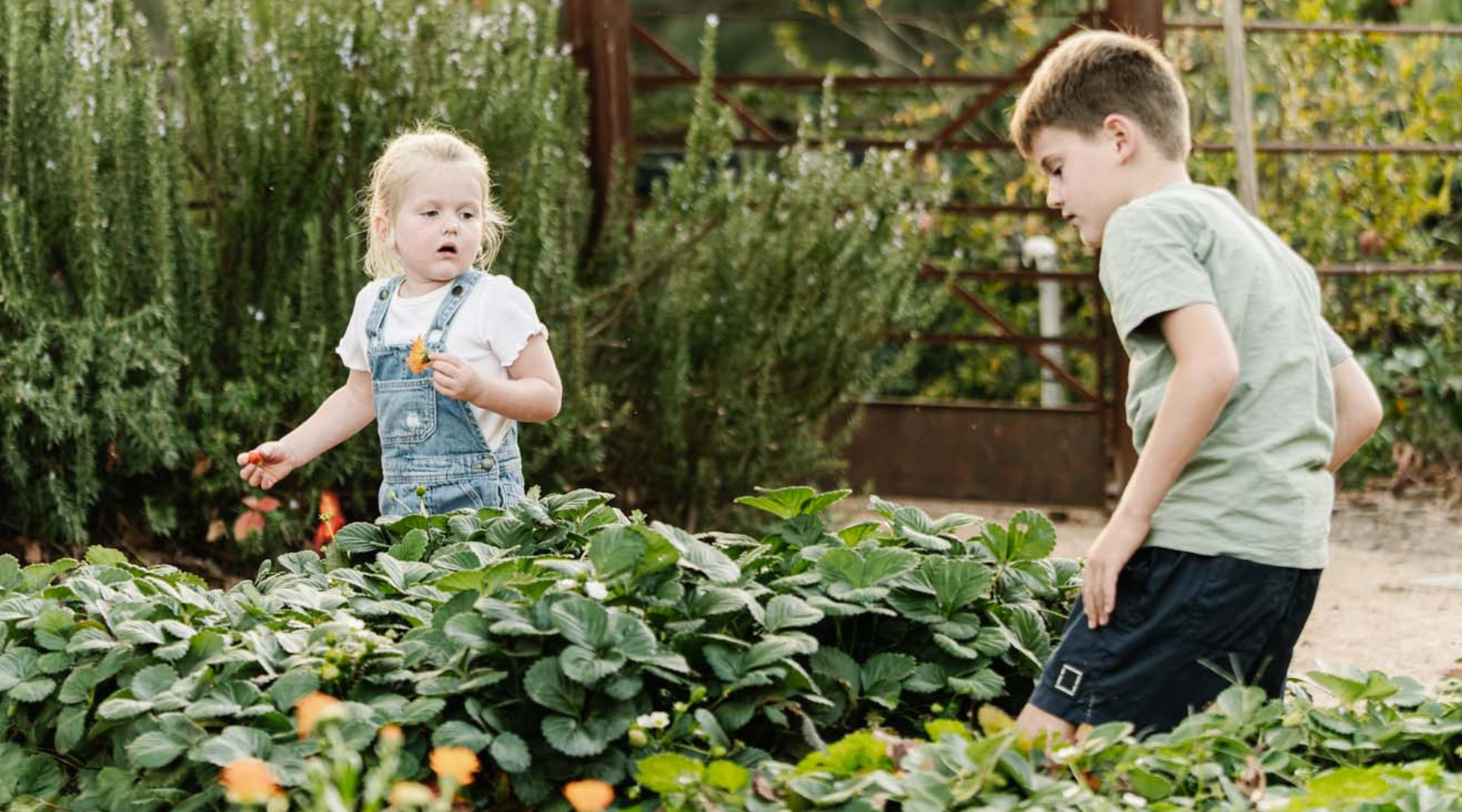 Creating a Child Friendly Garden