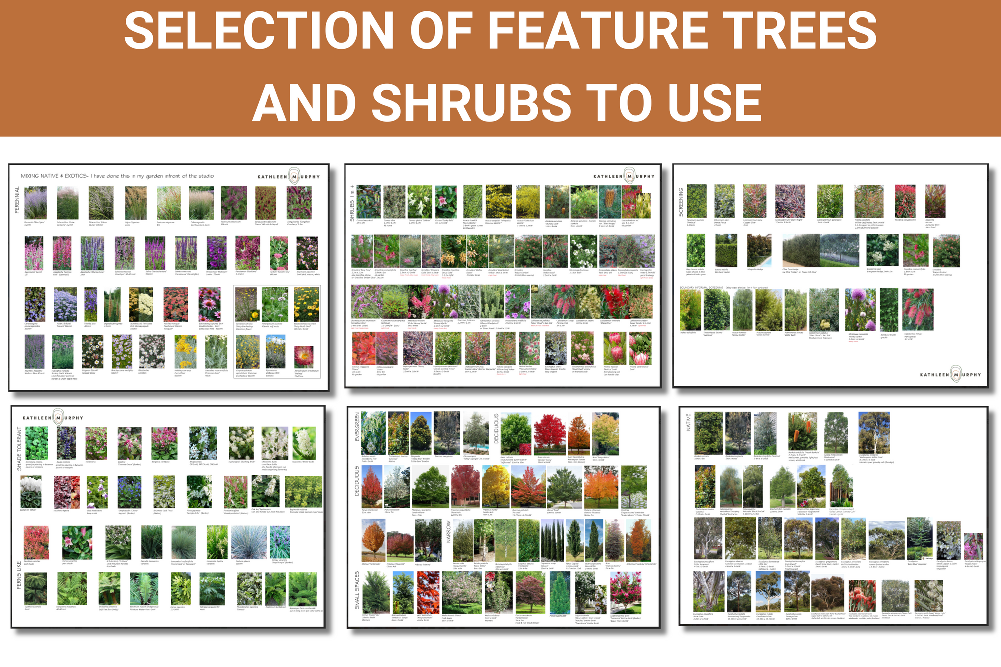 Design Your Dream Garden Online (Bonus Included)🎁