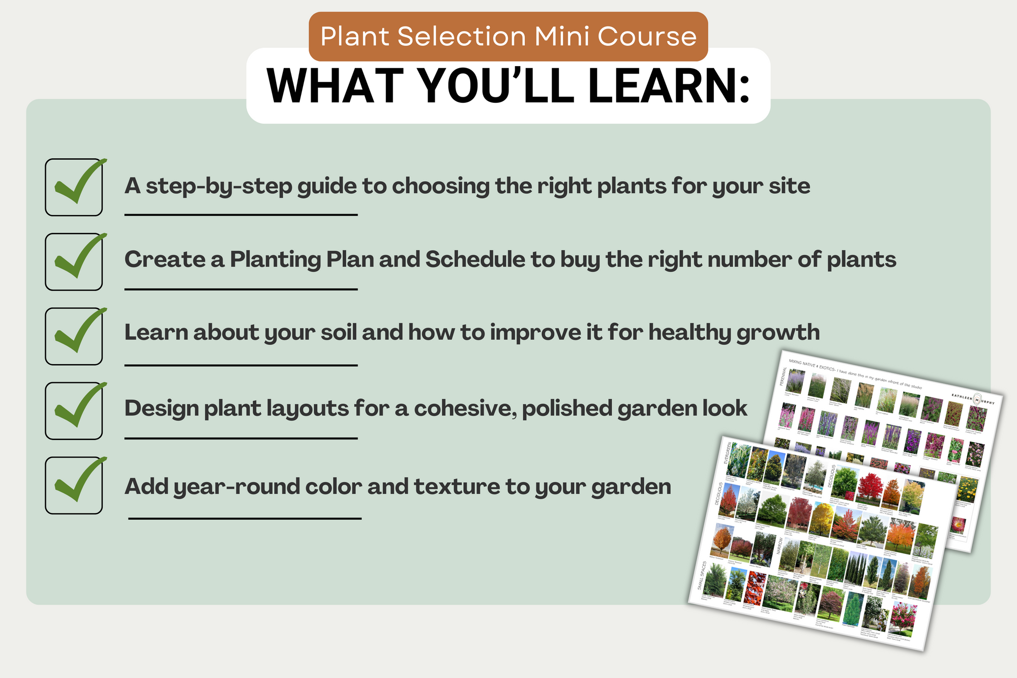 Plant Selection Mini Course