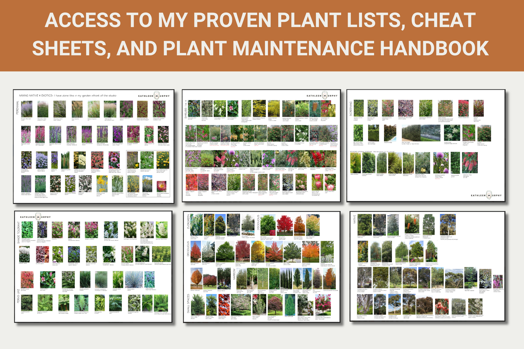 Plant Selection Mini Course